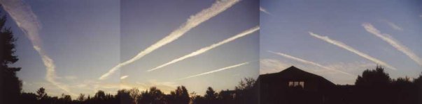 holmesteadchemtrail-8.8pan.jpg