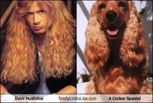 dave-mustaine-ocker-spaniel.jpg