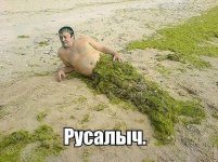 русалыч.jpg