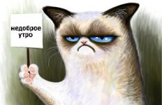 Grumpy-Cat-art-красивые-картинки-песочница-красивых-карти.jpeg