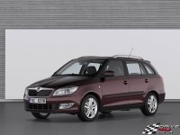 Skoda-Fabia-Combi-2011x800x600.jpg