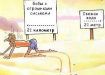 21 метр.jpg