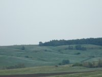 2008_0518medved0022.jpg