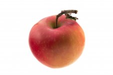 apple.jpg