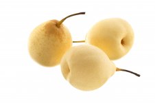 three_chinese_pears_v3.jpg