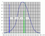 wl-p3.gif