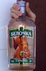 Белочка.jpg