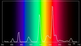 osram-ds-sp.jpg