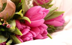 wallpaper-desktop-background-flowers-pink-wallpapers-static.jpg