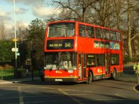 London_bus_route_343.jpg