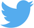 Twitter_bird_logo_2012.svg.png