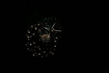 firework03.JPG