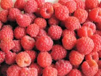 raspberry.jpg