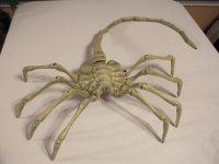 FaceHugger1_preview_featured.jpg