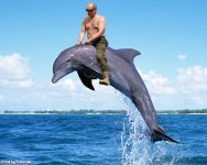 Vladimir-Putin-Riding-a-Dolphin-125674.jpg