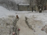 Зима 2010 Коллапс 019_1.jpg