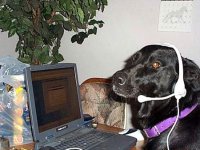 1189606408_2753-450x-computer_dog_1.jpg