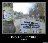 Дима в себе уверен.jpg