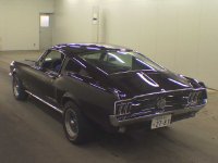 Fastback 1967_1.jpg