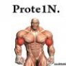 Protein